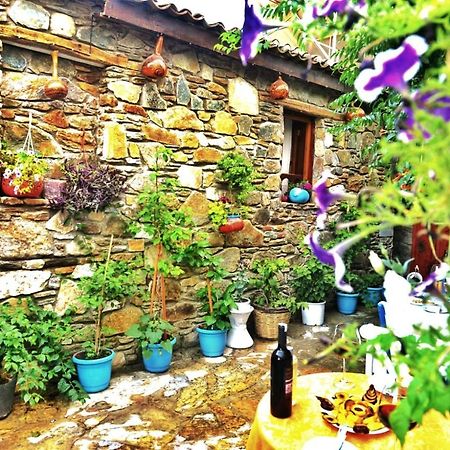 Sirincem Pension Selçuk Kültér fotó